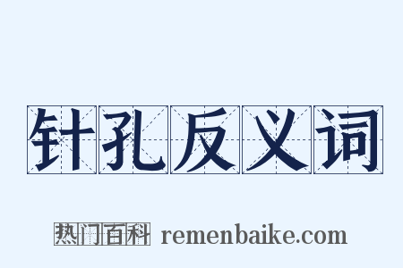 针孔反义词是什么意思的图片